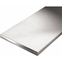 Штанга плоская 25*2 ШПл 03.1000.500. Интернет-магазин Vseinet.ru Пенза