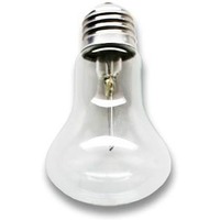 Лампа накаливания 230-60 М50 (100). Интернет-магазин Vseinet.ru Пенза