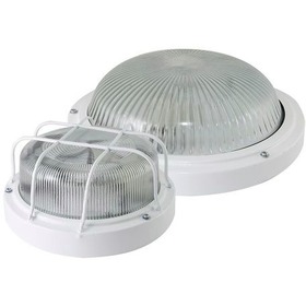 Фото Светильник НПП 03-100-010.12 УЗ "Сириус" (метал. корпус, матовый рассеиватель) "TDM" (SQ0311-0011). Интернет-магазин Vseinet.ru Пенза