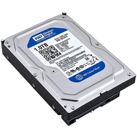Фото Жесткий диск HDD Western Digital Caviar Blue WD10EZEX, 1000Гб, SATA 6Gb/s, 64Мб. Интернет-магазин Vseinet.ru Пенза