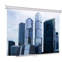 Настенный экран Lumien Eco Picture 200х200 см Matte White (LEP-100103). Интернет-магазин Vseinet.ru Пенза