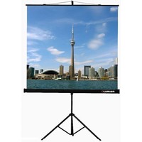 Экран на штативе Lumien Eco View 200x200 см с возможностью настенного крепления (LEV-100103). Интернет-магазин Vseinet.ru Пенза