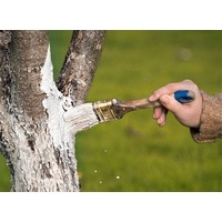 Фото Шпингалет оконный ШОЛ-КА антик серебро /20/ г.Саратов. Интернет-магазин Vseinet.ru Пенза