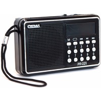 Фото Радиоприемник Сигнал РП-221 220V,USB,SD. Интернет-магазин Vseinet.ru Пенза