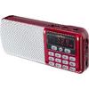 Фото PERFEO ЕГЕРЬ FM+/MP3/USB красный (i120-RED). Интернет-магазин Vseinet.ru Пенза