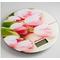 Фото № 1 Весы кухонные Аксинья КС-6503, бежевые с рисунком «Розовые тюльпаны»
