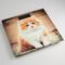 Фото № 1 Весы напольные Аксинья КС-6000, многоцветные с рисунком «Рыжий кот»