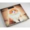 Фото № 2 Весы напольные Аксинья КС-6000, многоцветные с рисунком «Рыжий кот»