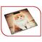 Фото № 3 Весы напольные Аксинья КС-6000, многоцветные с рисунком «Рыжий кот»