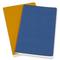 Фото № 2 Блокнот Moleskine VOLANT Large 130х210мм 96стр. нелинованный мягкая обложка синий/желтый янтарный (2 [qp723b41m17]
