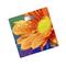 Фото № 2 Весы напольные Centek CT-2420, многоцветные с рисунком «Гербера»