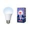 Фото № 2 Лампа светодиодная LED-A60-11W/DW/E27/FR/NR Дневной белый свет (6500K) Серия Norma