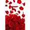 Фото № 1 Пакет "Лепестки роз NEW", полиэтиленовый с вырубной ручкой, 20 х 30 см, 30 мкм