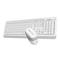 Фото № 11 Клавиатура + мышь A4 Fstyler FG1010 клав:белый/серый мышь:белый/серый USB беспроводная