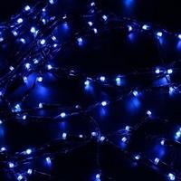 Фото ECOLA N2YB06ELC LED гирлянда 220V IP20 Синяя Blue 100 Led 6м. Интернет-магазин Vseinet.ru Пенза