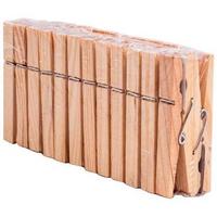 Фото Прищепки для белья деревянные PEG-W-S/24 в наборе по 24шт (дерево,металл) (311348). Интернет-магазин Vseinet.ru Пенза
