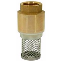 Обратный клапан с сеткой 1-1/2" CTM CBCVF112. Интернет-магазин Vseinet.ru Пенза