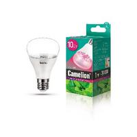 Фото CAMELION LED10-PL/BIO/E27 (Эл.лампа светодиодная для растений 10Вт 220В). Интернет-магазин Vseinet.ru Пенза