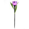 Фото UNIEL UL-00004278 USL-C-453/PT305 PURPLE TULIP. Интернет-магазин Vseinet.ru Пенза