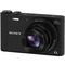 Фото № 20 Фотоаппарат Sony Cyber-shot DSC-WX350, 18.2Mpix, 20x/4x, Black