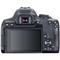 Фото № 5 Зеркальный Фотоаппарат Canon EOS 850D черный 24.2Mpix 3" 4K Full HD SDXC Li-ion (без объектива)