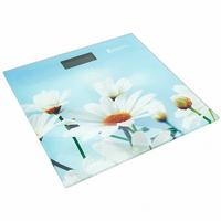 Фото из категории Весы