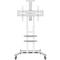 Фото № 0 Кронштейн Onkron TS1881, белый