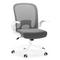Фото № 1 Офисное кресло Loftyhome Template складное серый VC6007-g