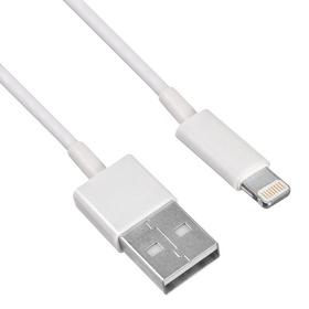 Фото Кабель Buro USB-IP-1.2W2A Lightning (m) USB A(m) 1.2м белый. Интернет-магазин Vseinet.ru Пенза