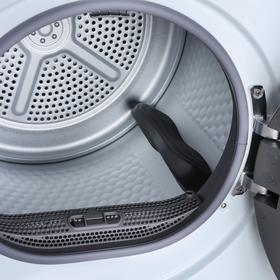 Фото Сушильная машина Бирюса DM-SN9/46. Интернет-магазин Vseinet.ru Пенза