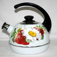 Чайник Рубин Т04/40/03/05, 4 л. Интернет-магазин Vseinet.ru Пенза